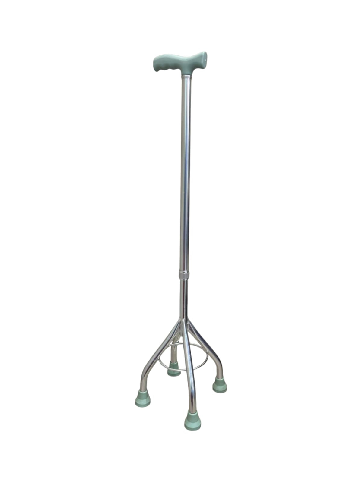 Walking Stick